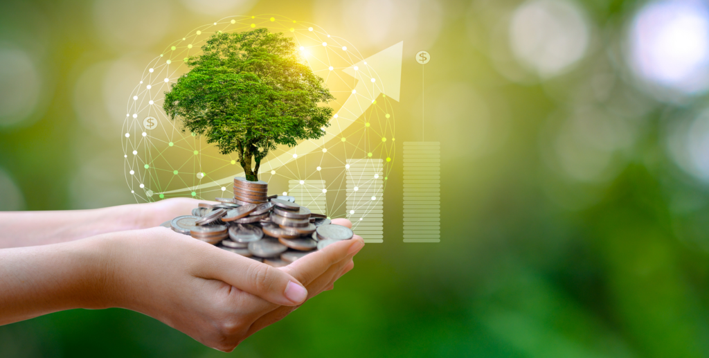 Greenwashing im Finanzsektor